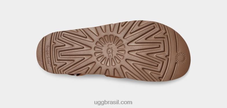 castanha 4VTTD513 UGG mulheres trança goldenstar