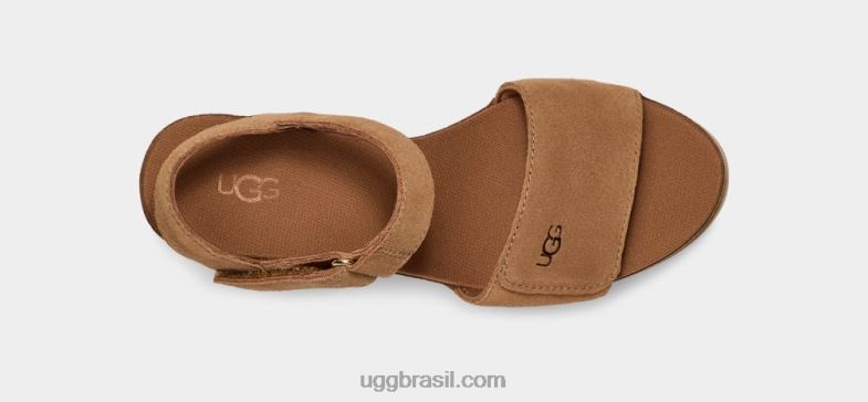 castanha 4VTTD558 UGG mulheres alça de ileana