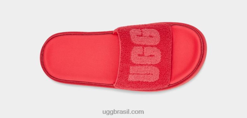 terry rosa de hibisco 4VTTD797 UGG mulheres latina