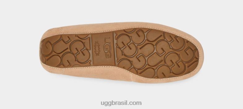 troncos 4VTTD370 UGG mulheres Ansley